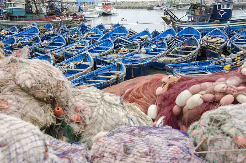 293 - Marruecos - Essaouira - puerto pesquero